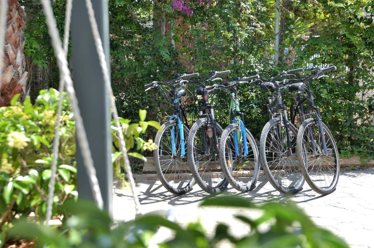 Alekos Luxury Suites Free 24H Transportation From - To Airport Артеміда Екстер'єр фото